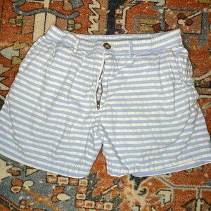 Chubbies shorts - blue striped- M